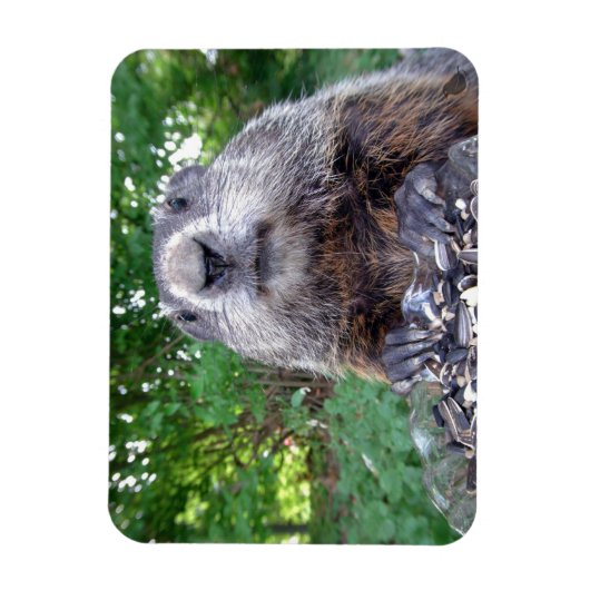 Groundhog Flexi-Magnet 3 x 4 Magnet (Vertikal)