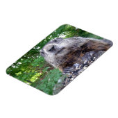 Groundhog Flexi-Magnet 3 x 4 Magnet (Linke Seite)