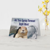 Groundhog Frühlings-Prognose Karte (Gelbe Blume)