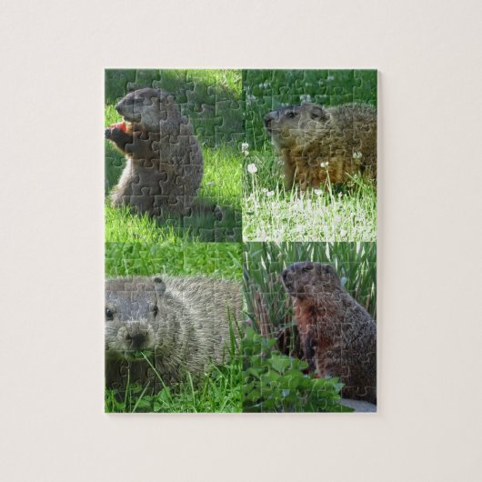 Groundhog Gemisch Puzzle (Vertikal)