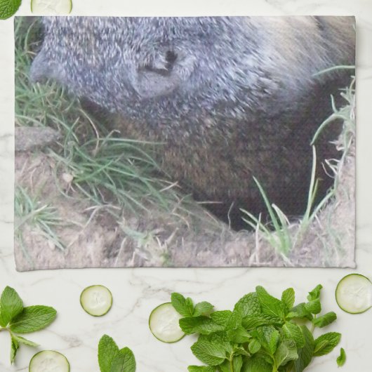 Groundhog Geschirrtuch (Gefaltet)