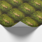 Groundhog in einem Faltpapier Geschenkpapier (Ecke)