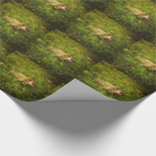 Groundhog in einem Faltpapier Geschenkpapier (Ecke)