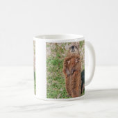 Groundhog Kaffeetasse (VorderseiteRechts)