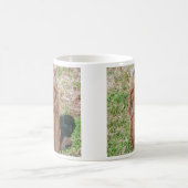 Groundhog Kaffeetasse (Mittel)