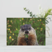 Groundhog kann schmecken einladung (Stehend Vorderseite)