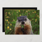 Groundhog kann schmecken einladung (Vorne/Hinten)