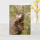 Groundhog Karte (Gelbe Blume)