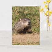 Groundhog Karte (Gelbe Blume)