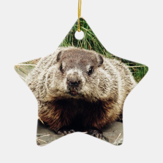Groundhog Keramikornament (Vorne)