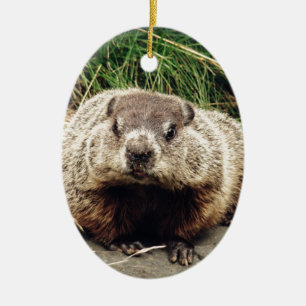 Groundhog Keramikornament