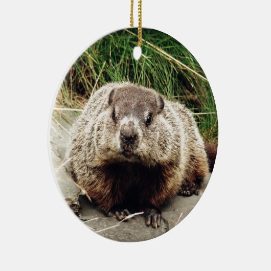 Groundhog Keramikornament (Rechts)