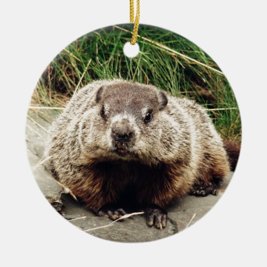 Groundhog Keramikornament (Vorne)