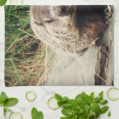 Groundhog Küchentuch (Gefaltet)