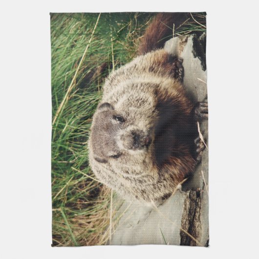 Groundhog Küchentuch (Vertikal)