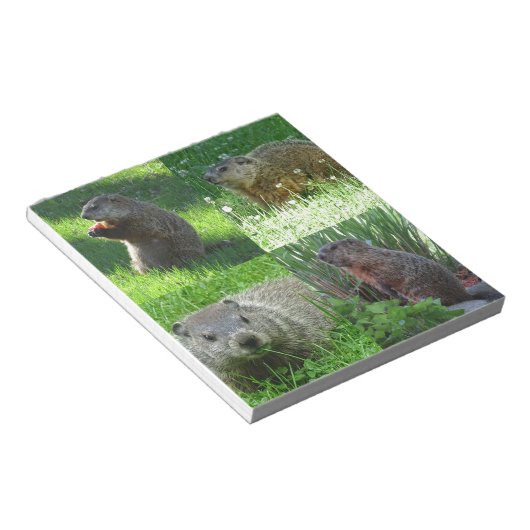 Groundhog Medley Notizblock (angewinkelt)