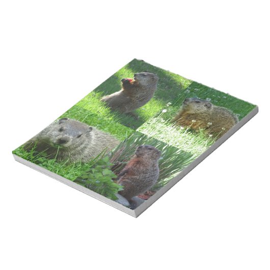 Groundhog Medley Notizblock (Rotiert)