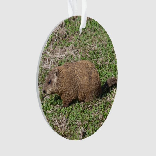 Groundhog Ornament (Vorderseite)