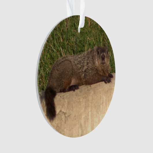 Groundhog Ornament (Vorderseite)