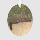 Groundhog Ornament (Vorderseite)