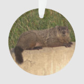 Groundhog Ornament (Vorderseite)