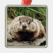 Groundhog Ornament Aus Metall (Vorne)