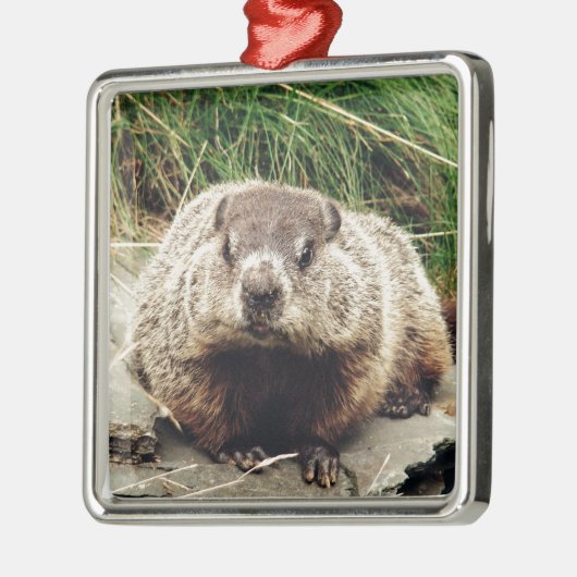 Groundhog Ornament Aus Metall (Links)