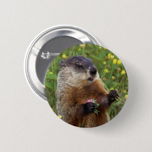 Groundhog-Pose - Naher Button (Vorne & Hinten)