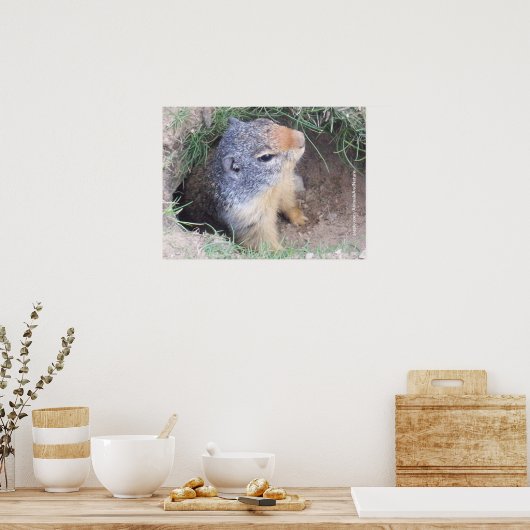 Groundhog Poster (Küche)