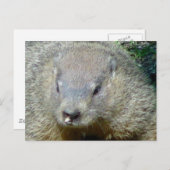 Groundhog Postkarte (Vorne/Hinten)
