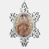 Groundhog Schneeflocken Zinn-Ornament (Rechts)