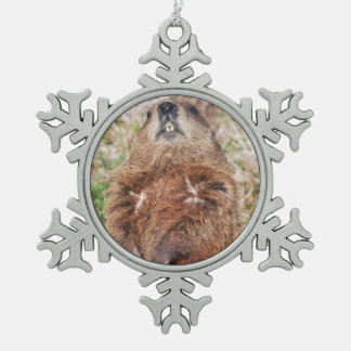 Groundhog Schneeflocken Zinn-Ornament