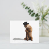 Groundhog Seeing Shadow Postkarte (Stehend Vorderseite)