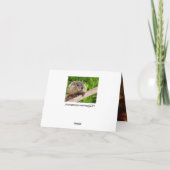 Groundhog Spaß Geburtstagskuchen-Karte Dankeskarte (Rückseite)