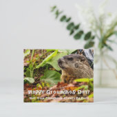 Groundhog Springtime Postkarte (Stehend Vorderseite)