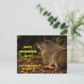 Groundhog Sunny Postkarte (Stehend Vorderseite)