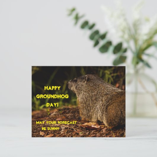 Groundhog Sunny Postkarte (Stehend Vorderseite)