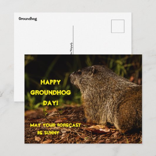 Groundhog Sunny Postkarte (Vorne/Hinten)