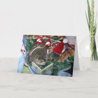 Groundhog Weihnachtskarte Feiertagskarte