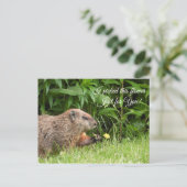 Groundhog/Woodchuck liefert Blume Postkarte (Stehend Vorderseite)