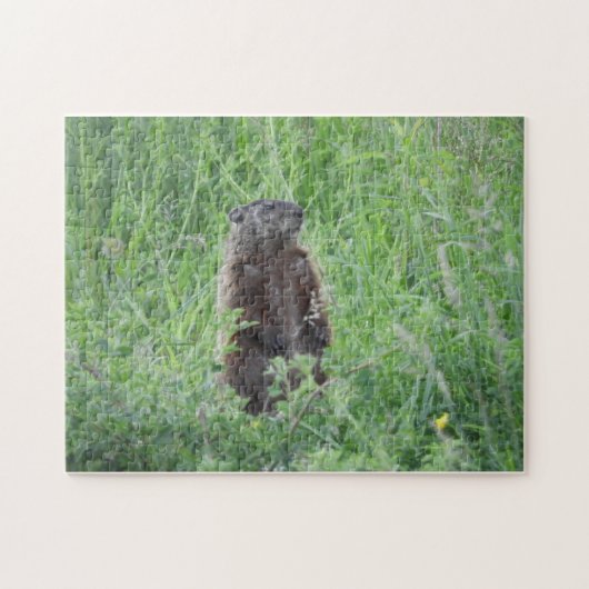 Groundhog Woodchuck Stehend in Grass Puzzle (Horizontal)