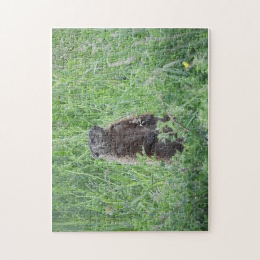 Groundhog Woodchuck Stehend in Grass Puzzle (Vertikal)