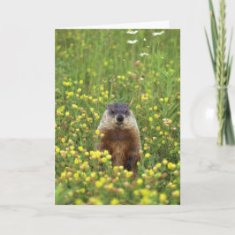 Groundhogs Rule Card Karte