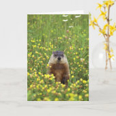 Groundhogs Rule Card Karte (Gelbe Blume)