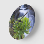 Groundsel oder Dendrosenecio 2 Runde Wanduhr (Winkel)