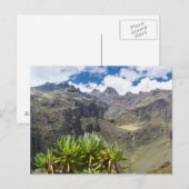 Groundsel oder Dendrosenecio Postkarte (Vorne/Hinten)