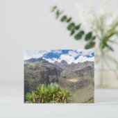Groundsel oder Dendrosenecio Postkarte (Stehend Vorderseite)