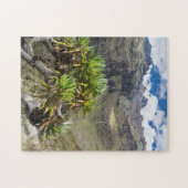 Groundsel oder Dendrosenecio Puzzle (Horizontal)