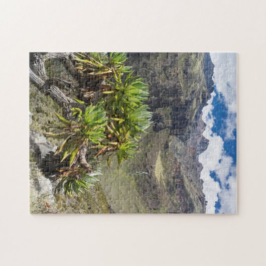 Groundsel oder Dendrosenecio Puzzle (Horizontal)