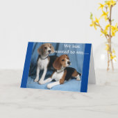"GROUP BIRTHDAY - BEAGLE WÜNSCHT SICH FÜR SIE! KARTE (Gelbe Blume)